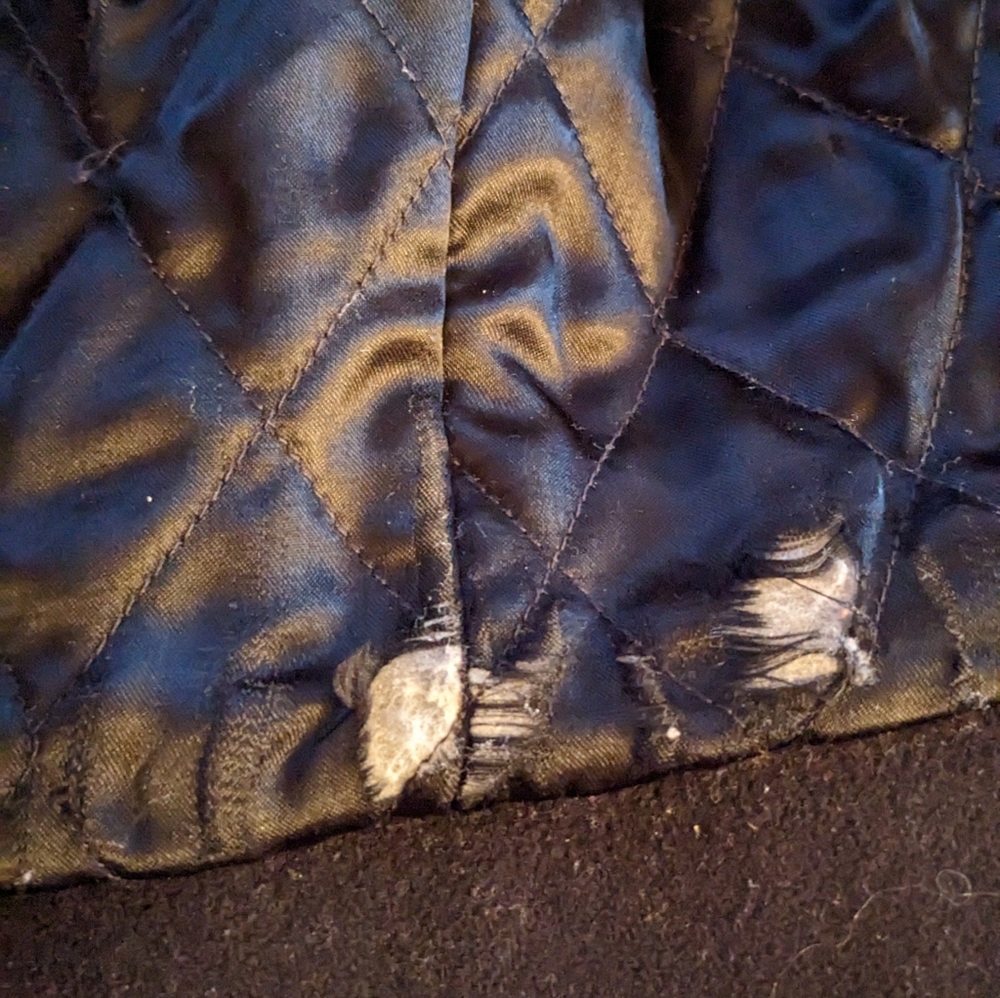 Gap Pea Coat - image 5